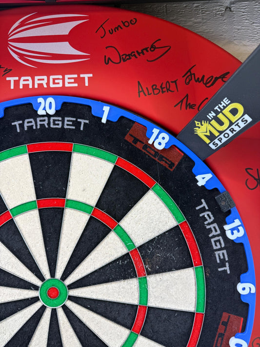 Dartboard Number Ring (Target TOR Inspired)
