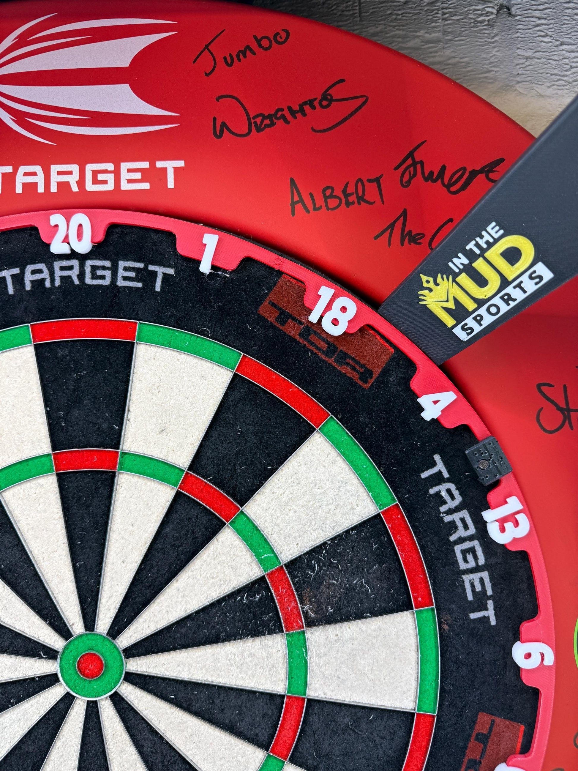 Dartboard Number Ring (Target TOR Inspired)